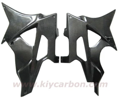 Peças de motocicleta de carbono para BMW S1000rr